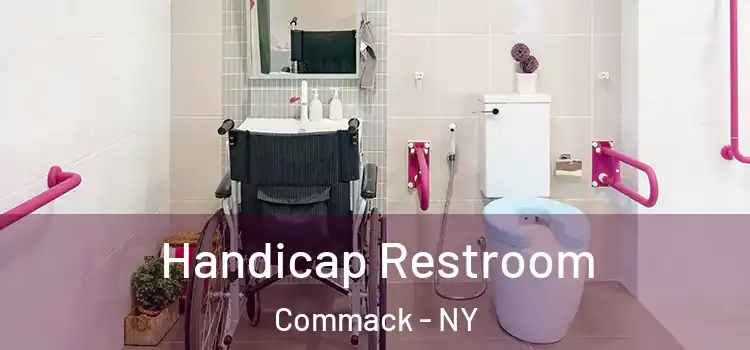 Handicap Restroom Commack - NY