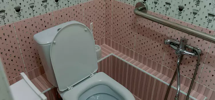 Meeting Diverse Needs With Accessible Restroom Solutions in Commack, NY